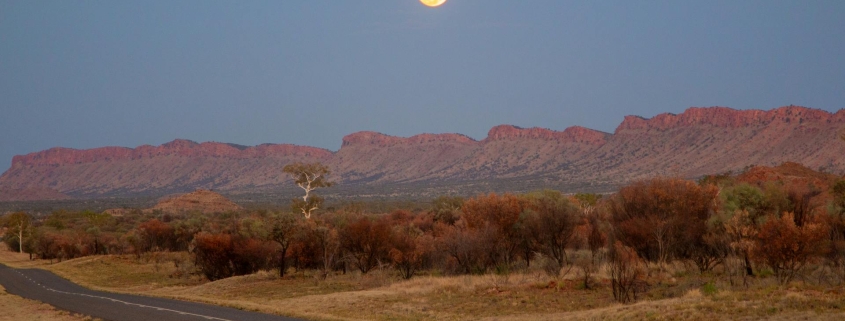 Sun Above a Desert, Prashant Umakanthan